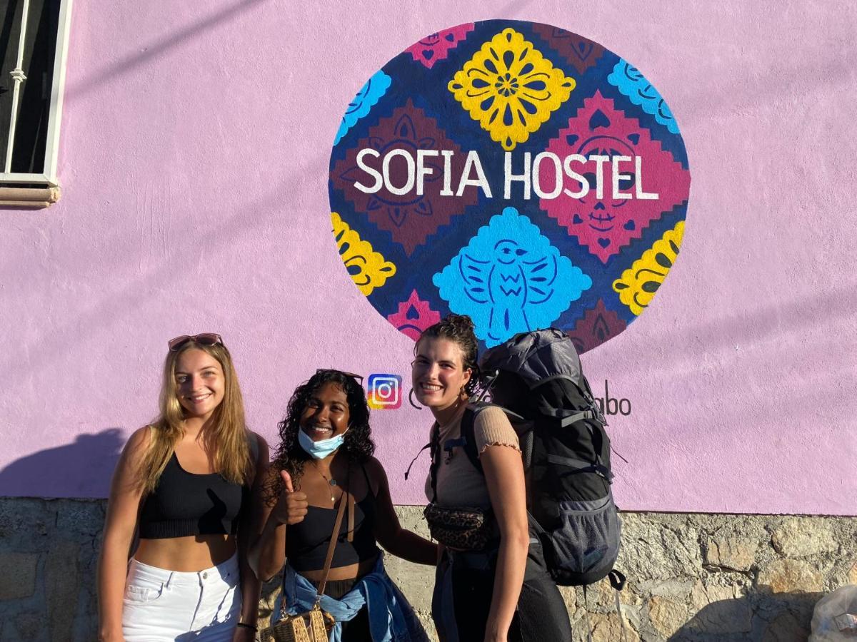 Sofia Hostel Cabo Cabo San Lucas Esterno foto